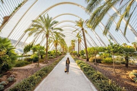 Valencias wichtigste Sehenswürdigkeiten: Rundgang mit Reiseleiter