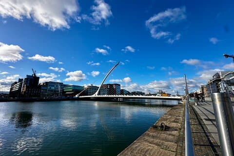 Discover Dublin Vikings City Chauffeur tour