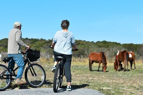 Cykeluthyrning från besökscentret i Assateague, MD
