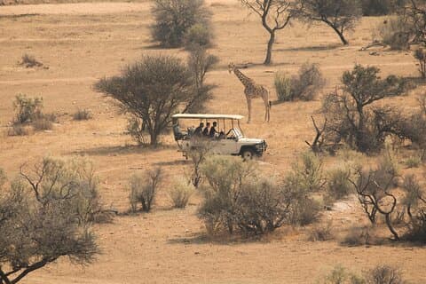 Pirschfahrt im Victoria Falls Nationalpark