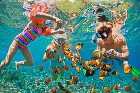Full-Day Khao Lak to Similan Island Snorkeling Tour with Lunch