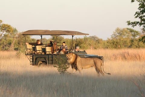 4 Days Victoria Falls & Hwange National Park Safari Combo