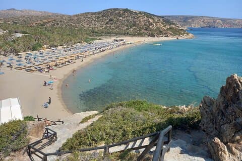Heldags privat tur til Vai Palm Beach