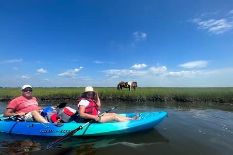 Tour guiado en kayak por Assateague y descubrimiento de vida silvestre