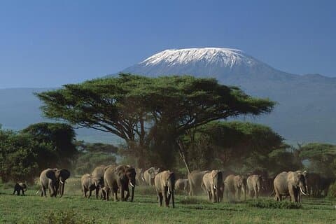 5 Days Private Kenya Driving Safari From Nairobi to Mombasa