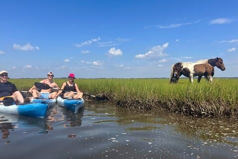 Uthyrning av kajak på Assateague Island, MD
