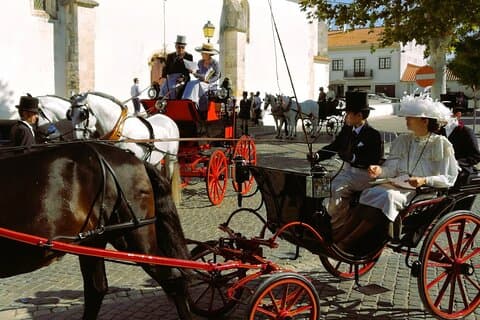 Fra Lisboa: Capital of Lusitanian Horses Privat halvdagstur