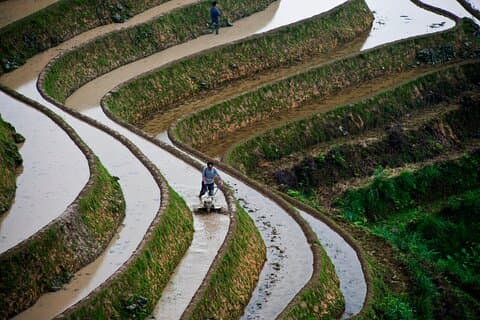 Guilin: tour privato di un giorno alle terrazze di riso e ai villaggi di Longji