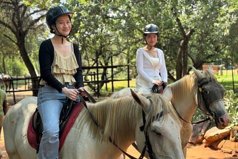 Excitante passeio a cavalo de Johannesburg