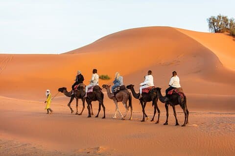 Fra Merzouga: 1 nat i luksuslejren. Camel ride og middag