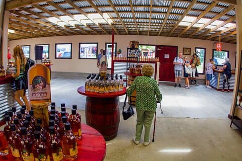Roatan-Ausflug: Rum Company, Schokoladenfabrik mit Sloths Park