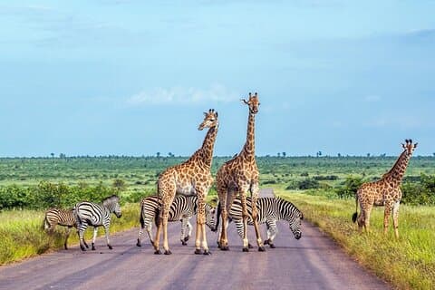 5 days Sossusvlei, Swakopmund and Spitzkoppe Camping