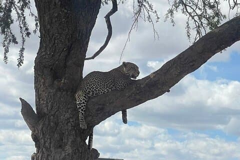 6-daagse privé-safaritour door Tanzania