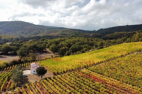 Weinguttour mit Wein- und Essensverkostung in Nuoro