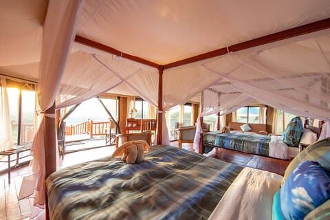 12-daagse Tanzania luxe safari en strandvakantie op Zanzibar