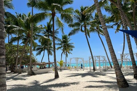 Tour naar Saona-eiland en Chavon-rivier met lunch en drankjes