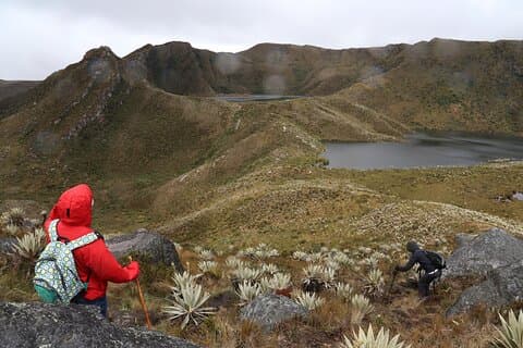 Chingaza Siecha & Cuchillas Lakes Trek - 4 hours -