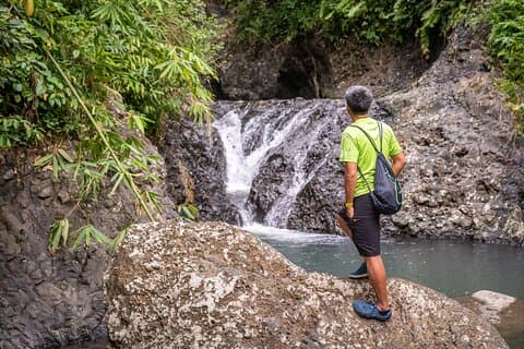 Kaura Waterfall Hike & Velg valgfri tur med privat transfer