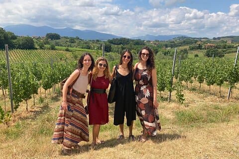 Pisa, Lucca, and Lunch at a Tuscan Winery from Livorno