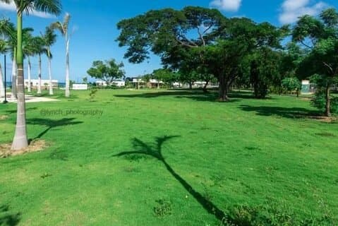 Privéstranddag en streetfoodtour vanuit Montego Bay