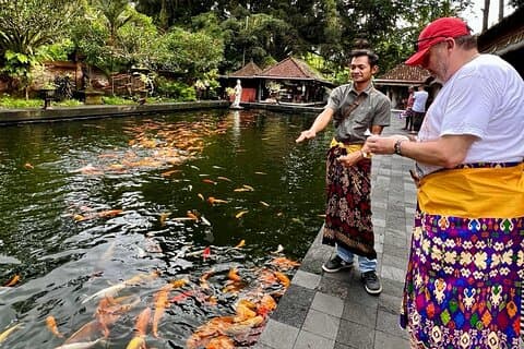 Visite privée de la cascade du temple de la terrasse de riz de la forêt des singes d'Ubud