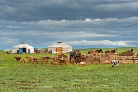 3 dagars vistelse hos Nomadic Family