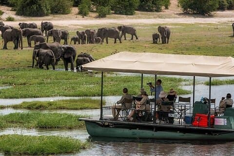 Chobe Day Trip Safari from Livingstone