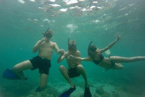 Snorkling på smukke Rock Island - Unawatuna med båd