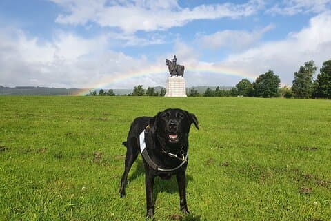 Bannockburn Battlefield Tour
