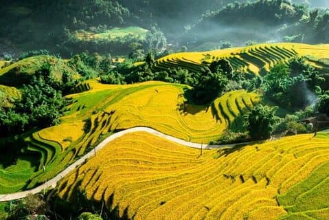 Terrassfält och lokala byar Walking Tour från Sapa