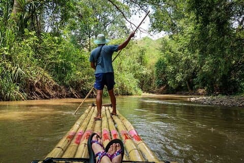 Heldags elefantbad och bambu forsränningstur i Chiang Mai