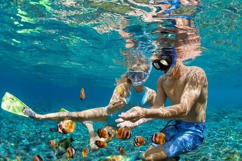 Muscat Omani Dhow Cruzeiro e Snorkeling Tour