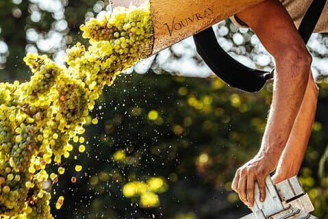 Loire Valley Wine Half Day Tour in Vouvray
