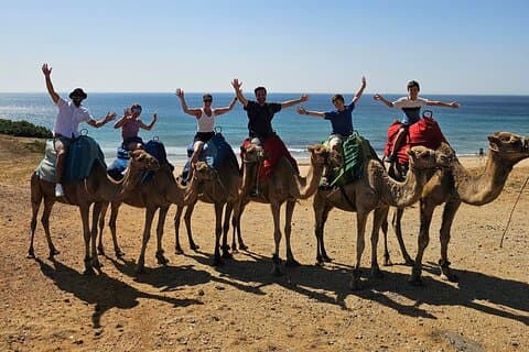 Tour privato: giornata attraverso Gibilterra e Marocco, Tangeri da Siviglia