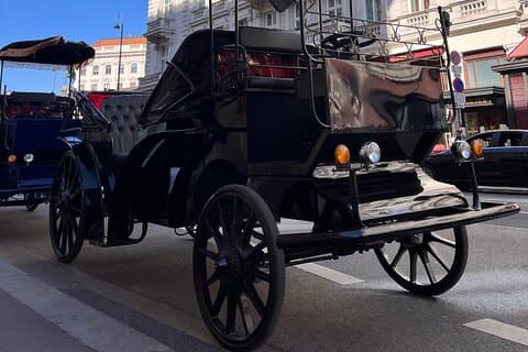 Wien: 60 min. Royal E-Carriage Sightseeing Tour med drinkar