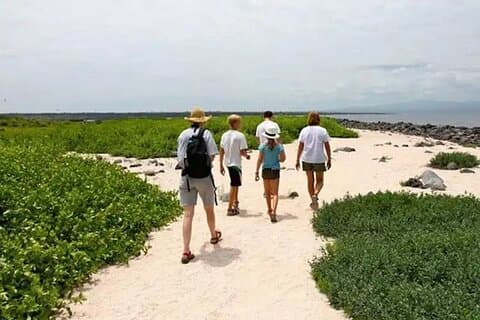 Hotell i nærheten av Galapagos - North Seymour Island Wildlife Snorkeling Tour