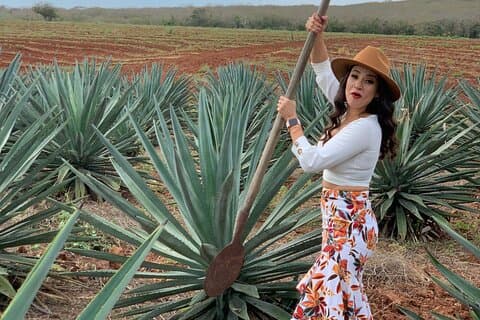 Mezcal Food Tasting Tour with Lunch Included