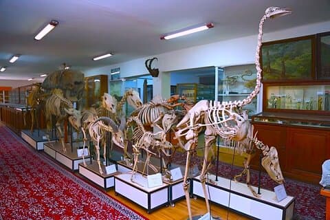 Private Kids Entertainment Day Tour in Baku