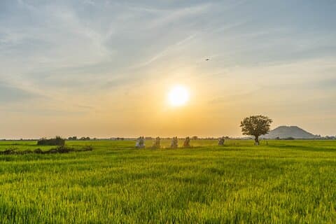 Siem Reap Countryside Sunset Vespa Tour / Tuk Tuk Available