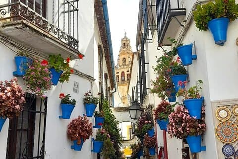 Tour privato a Cordoba con hotel o pick-up a terra a Costa del Sol