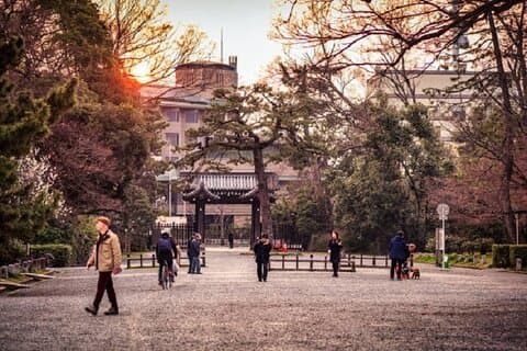 Privat tur i Kyoto med japansk indfødte guide