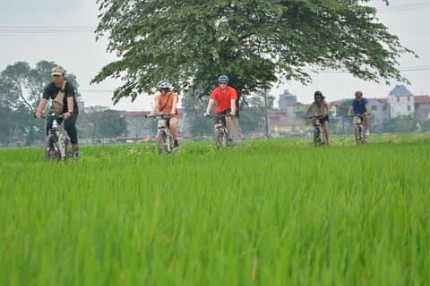 Hanói Countryside de bicicleta e degustação de comida e casa local