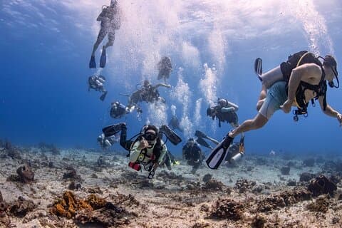 2 Tanks dives for Certified Divers in Cozumel
