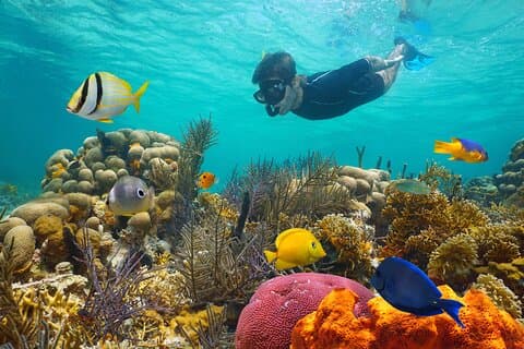 Key West Reef Morning Schnorcheln mit Frühstück und Mimosas
