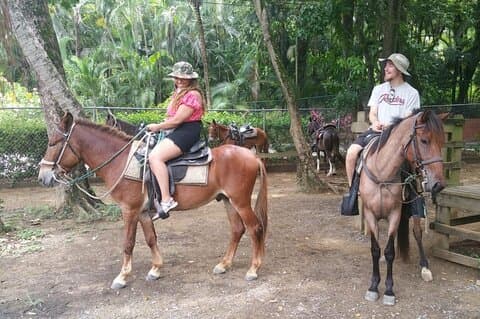 Ridning og snorkling ved West Bay Beach privat tur