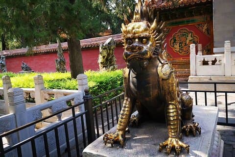 Tour privado de 3 días a Xian Beijing desde Shanghai en vuelo