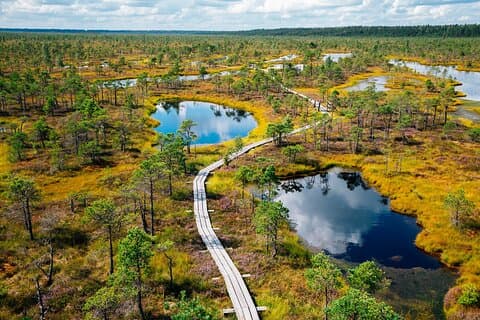 Private Tour to Kemeri National Park and Jurmala from Riga