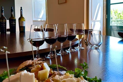 Privat Douro Valley vingårdstur och flodkryssning
