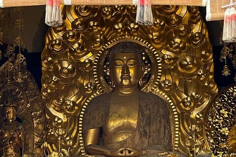 Walk & Drive - KAMAKURA DEEP TOUR see more w/ a certified guide