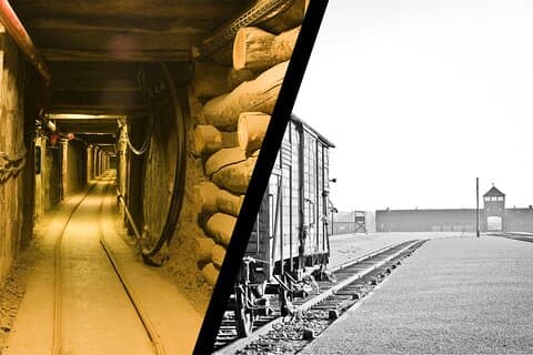 Trasferimento e guida ad Auschwitz Birkenau con opzione combinata miniera di sale